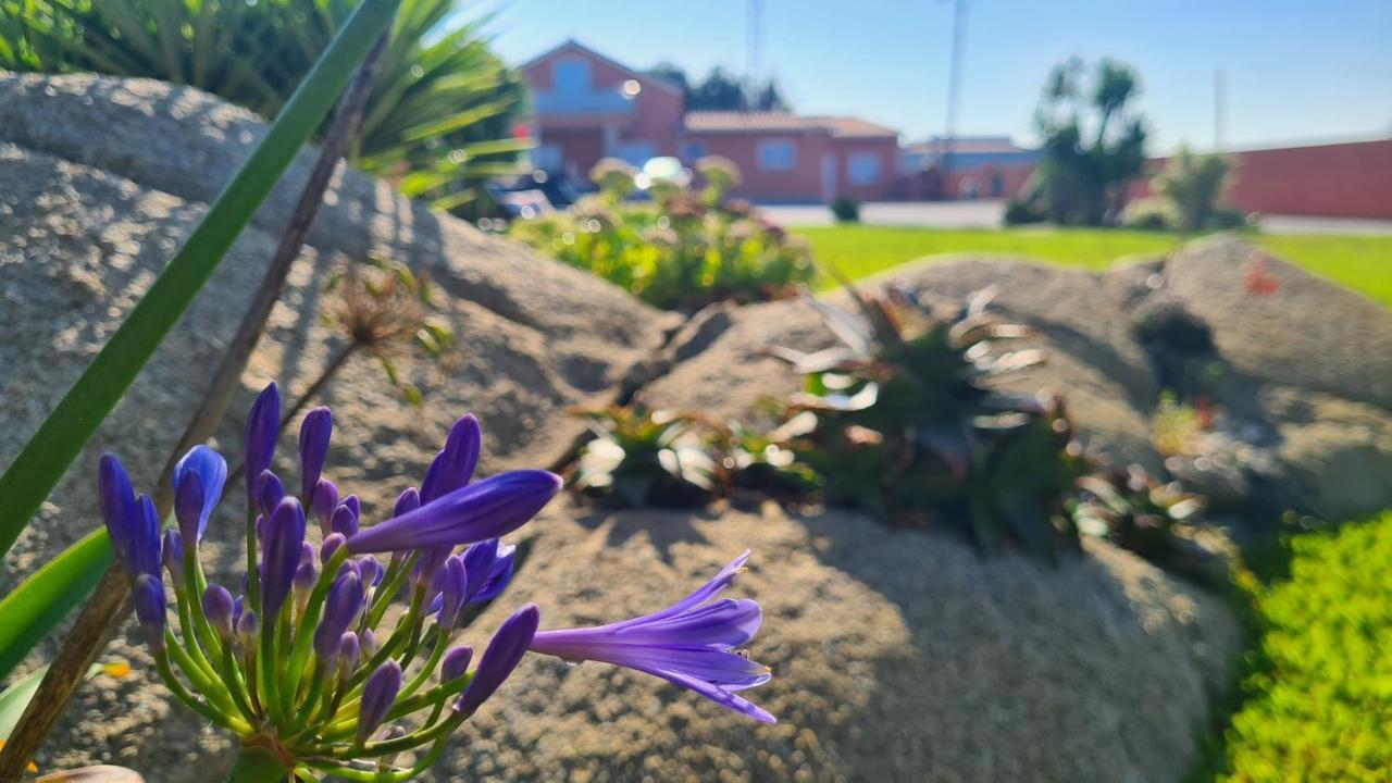 Hollidays Dreams Villa Póvoa de Varzim Buitenkant foto