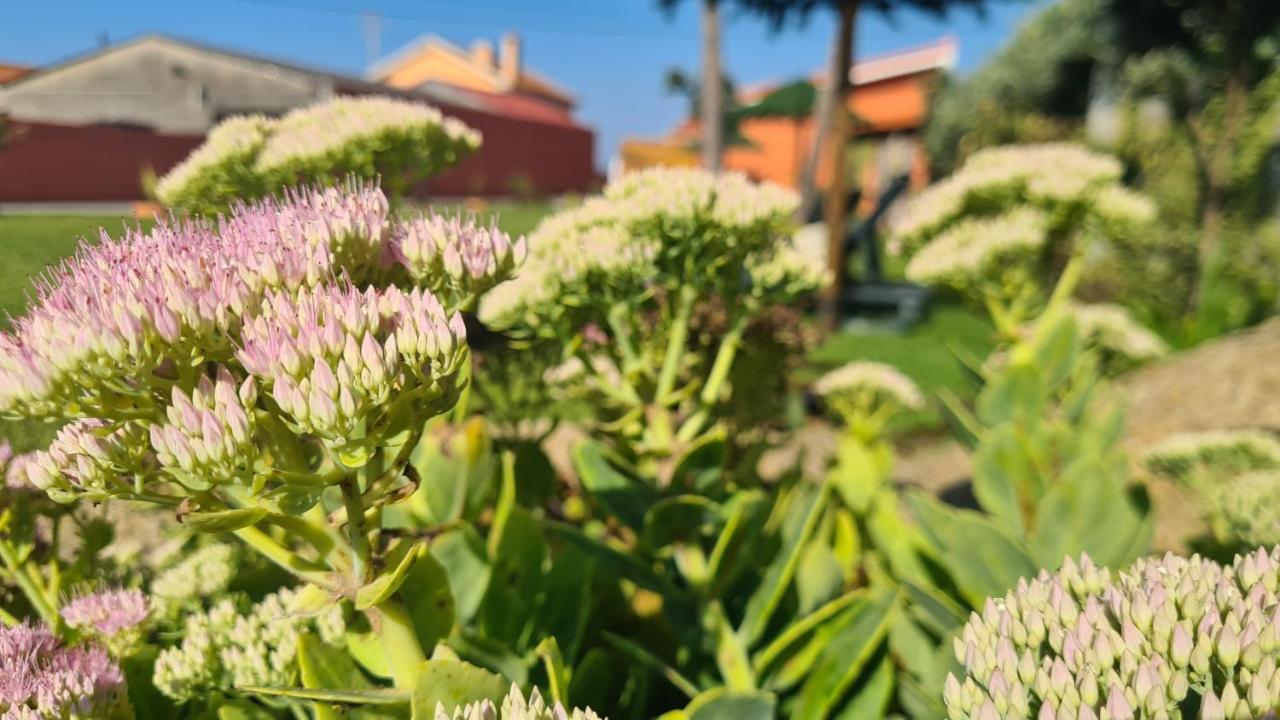 Hollidays Dreams Villa Póvoa de Varzim Buitenkant foto